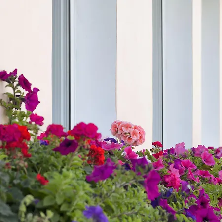 Hotel Opera Larnaca