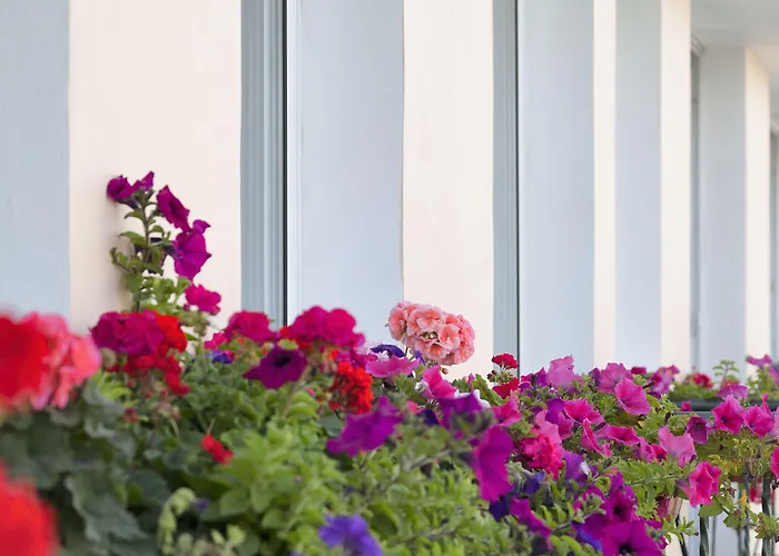 Hotel Opera Lárnaca